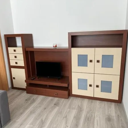 V Centre S Garážovým Státím Apartamento